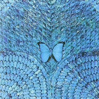 SANTANA - Borboletta CD