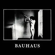 BAUHAUS - In The Flat Field CD