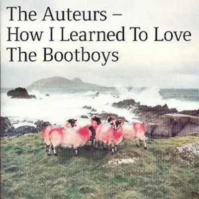 AUTEURS - How I Learned To Love The Bootboys CD