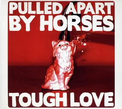 PULLED APART BY HORSES - Tough Love CD