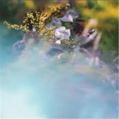 BEEDEEGEE - Sum/One CD
