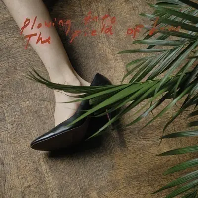 ICEAGE - Plowing Into The Field Of Love CD