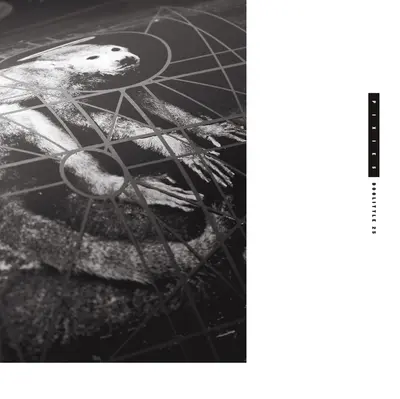 PIXIES - Doolittle 25: B-Sides, Peel Sessions & Demos CD3