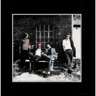 PALMA VIOLETS - Danger In The Club LP