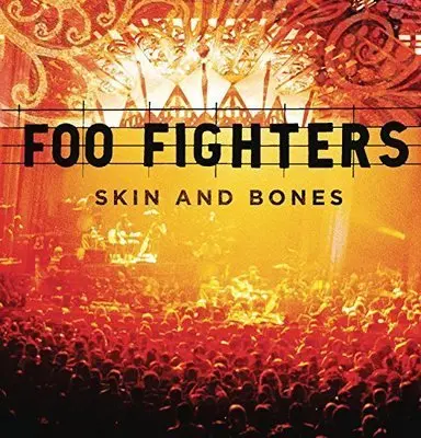 FOO FIGHTERS - Skin And Bones LP2