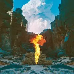 BONOBO - Migration CD