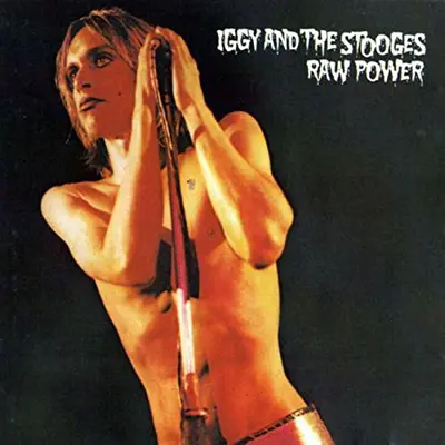 IGGY & THE STOOGES - Raw Power (Special Edition) LP2