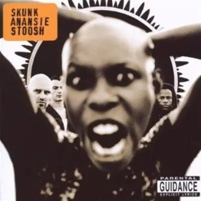 SKUNK ANANSIE - Stoosh CD