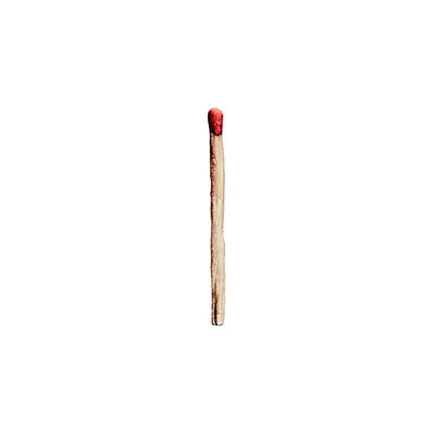 RAMMSTEIN - Rammstein LP2