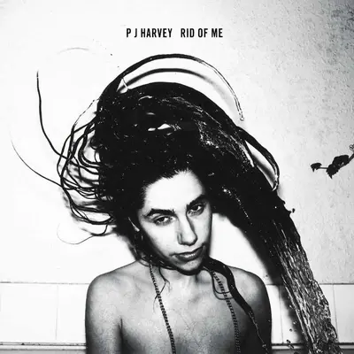 PJ HARVEY - Rid Of Me LP