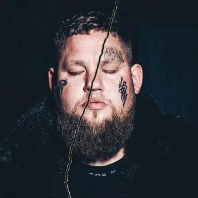 RAG'N'BONE MAN - Life By Misadventure LP2