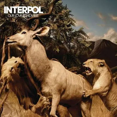 INTERPOL - Our Love To Admire LP2