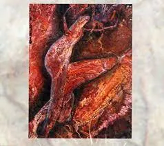 COIL - Swanyard CD2