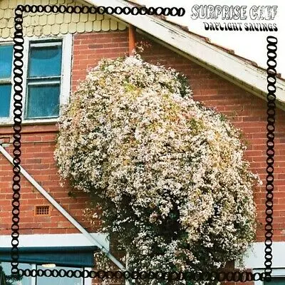 SURPRISE CHEF - Daylight Savings LP