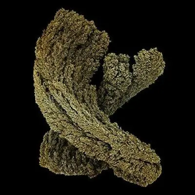 MAX COOPER - Emergence LP2