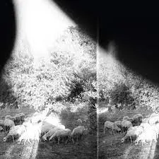 GODSPEED YOU! BLACK EMPEROR - Asunder, Sweet And Other Distress CD