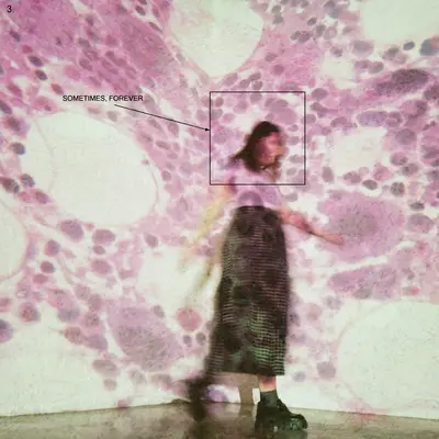 SOCCER MOMMY - Sometimes, Forever LP