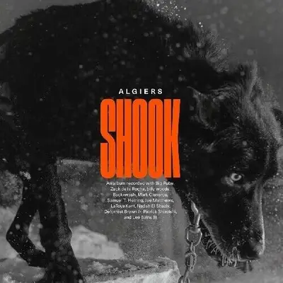 ALGIERS - Shook CD