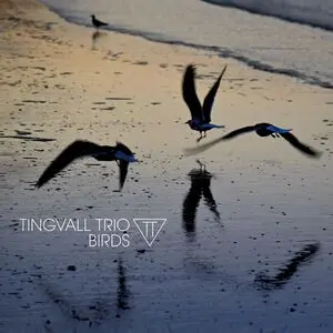 TINGVALL TRIO - Birds LP