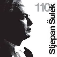 STJEPAN ŠULEK - 110 CD3