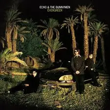 ECHO & THE BUNNYMEN - Evergreen (25th Anniversary Remaster) CD2