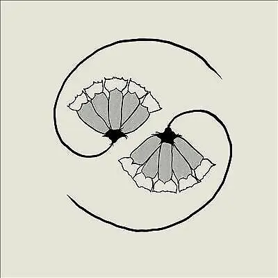 GODSPEED YOU! BLACK EMPEROR - G_d’s Pee At State's End! CD