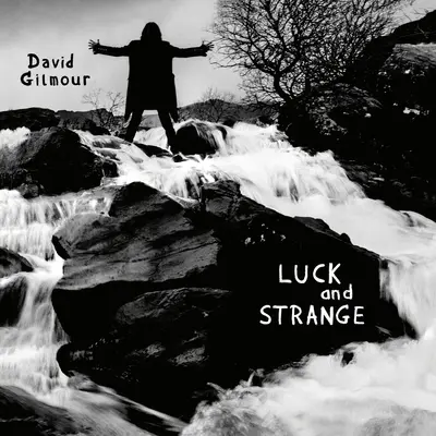 DAVID GILMOUR - Luck And Strange LP