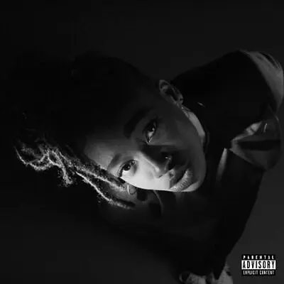 LITTLE SIMZ - Grey Area CD