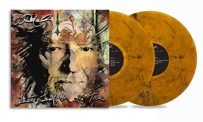 WILLIE NELSON - Last Leaf On The Tree LP2