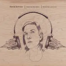 DAVID SYLVIAN - Died In The Wool, Manafon Variations LP2