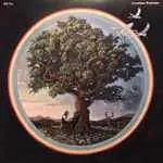 BILL FAY - Countless Branches CD