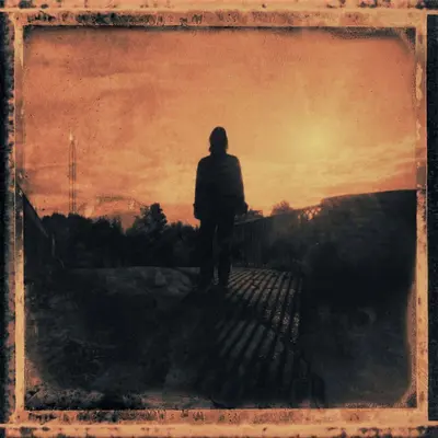 STEVEN WILSON - Grace For Drowning LP2