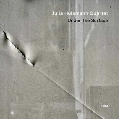 JULIA HULSMANN QUARTET - Under The Surface CD