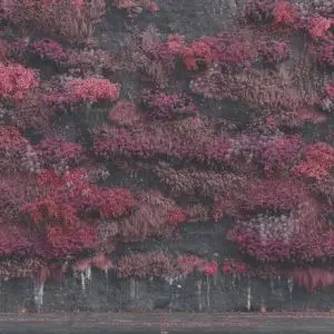 SLEEP TOKEN - Even In Arcadia LP2