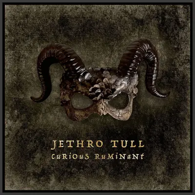 JETHRO TULL - Curious Ruminant CD3