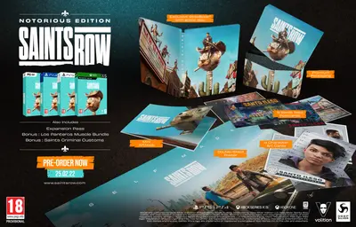 Saints Row - Notorious Edition (PC)-1