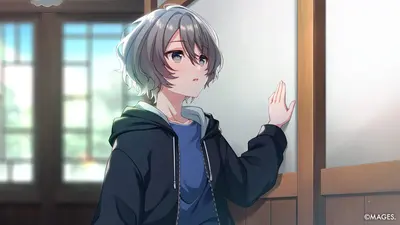 SINce Memories: Off The Starry Sky (Nintendo Switch)-2