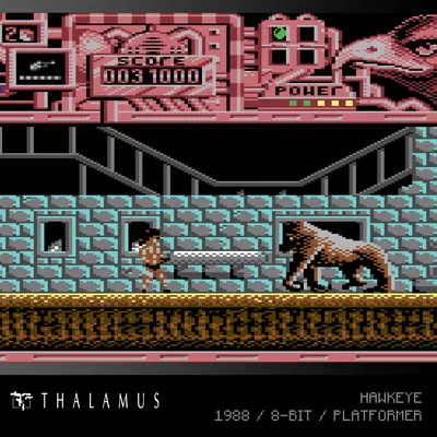 EVERCADE THALAMUS COLLECTION 1 (Evercade)-6
