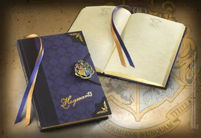 NOBLE COLLECTION - HARRY POTTER - GIFTS - HOGWARTS JOURNAL-4