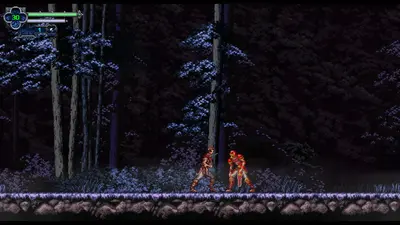 Chronicles Of The Wolf (SWITCH) (Nintendo Switch)-6