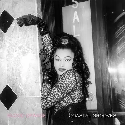 BLOOD ORANGE - Coastal Grooves LP