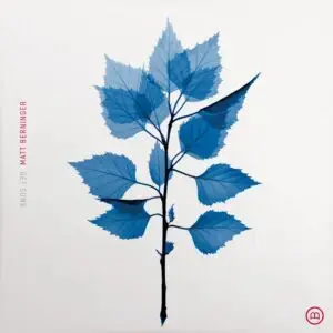MATT BERNINGER - Get Sunk CD