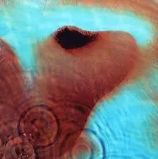 PINK FLOYD - Meddle (Remastered) LP