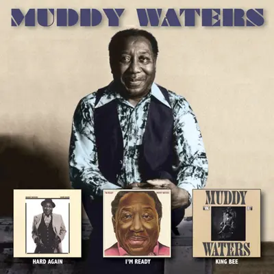 MUDDY WATERS - Muddy Waters Story CD4