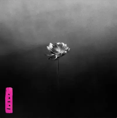 LITTLE SIMZ - Lotus CD