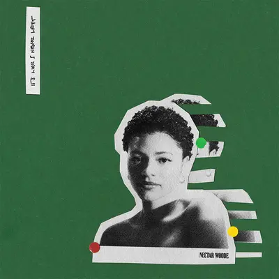 NECTAR WOODE - It's Like I Never Left LP