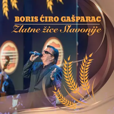 BORIS CIRO GAŠPARAC - Zlatne Žice Slavonije CD
