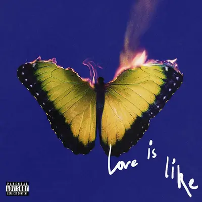 MAROON 5 - Love Is Like (Coloured Vinyl) LP