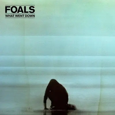 FOALS - What Went Down: 10th Anniversary (Coloured Vinyl) LP